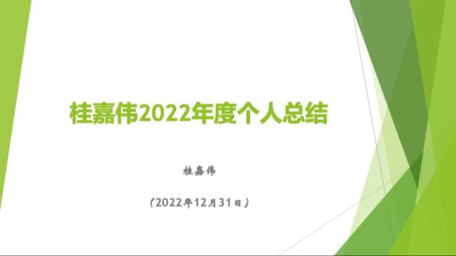 桂嘉伟2022年度个人总结