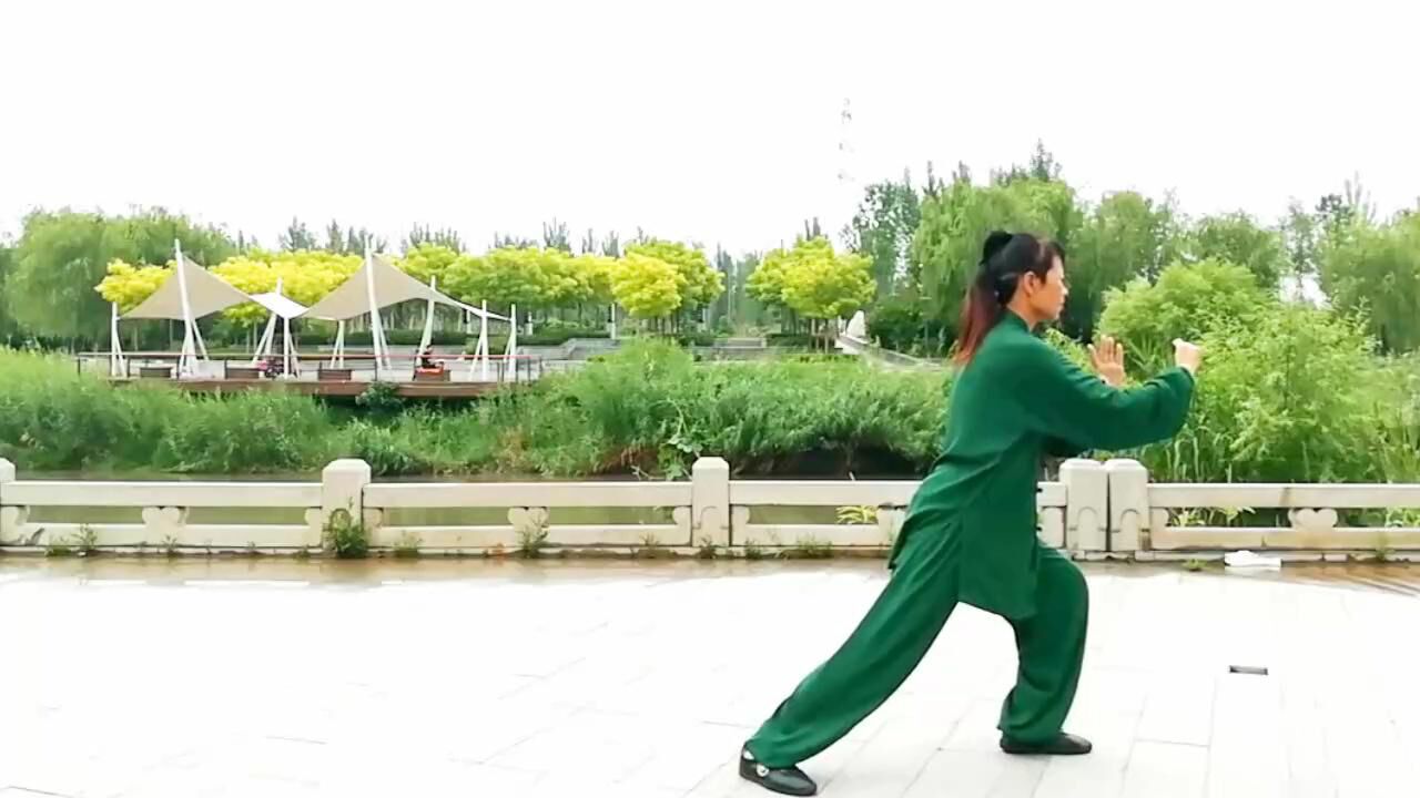传统杨式八十五式太极拳优美太极音乐_高清1080P在线观看平台_腾讯视频