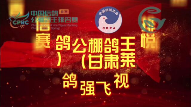 中国信鸽公棚鸽王排名赛春赛甘肃莱悦站