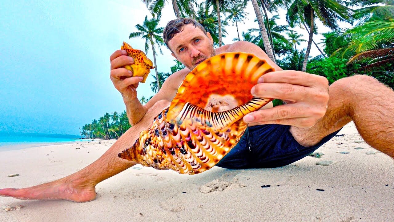 好运气再次降临 ,在石缝中发现一只巨型海螺 ,终于可以改善伙食