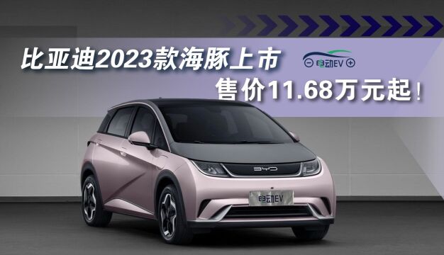 比亚迪2023款海豚上市,售价11.68万元起!