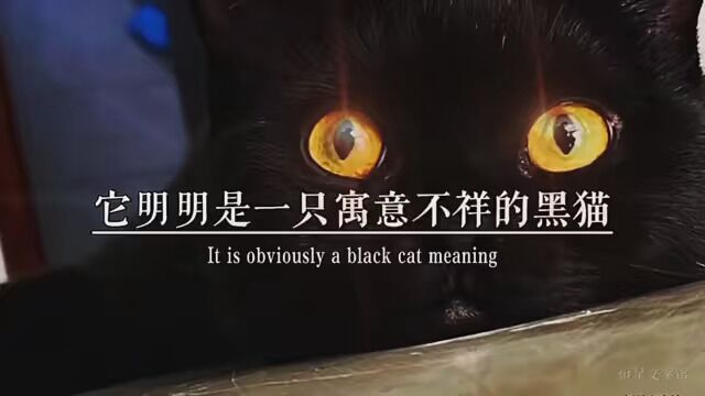 爷爷与黑猫的故事#宠物