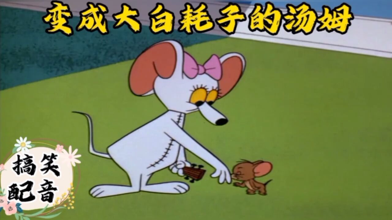 搞笑配音《猫和老鼠》汤姆装成大白耗子小耗子将计就计汤姆惨喽_高清1080P在线观看平台_腾讯视频