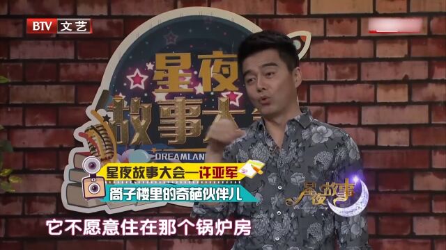 演员许亚军趣事儿多,养鸡养出感情来,全场爆笑无尿点