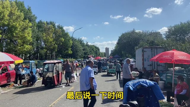 逛潍坊崔家大集,看看最近菜价,还碰到“甜黍秸”,大家认识吗?