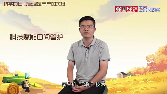 一粒稻种的成长之旅