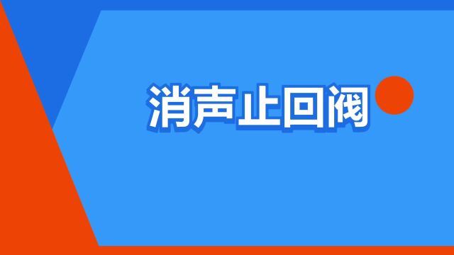 “消声止回阀”是什么意思?