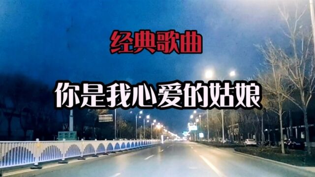 美丽的新乡夜景(背景音乐:你是我心爱的姑娘)