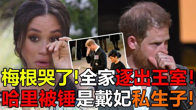 梅根哭了!哈里私生子身份藏不住,全家逐出王室,查尔斯不留情面了,结局大快人心