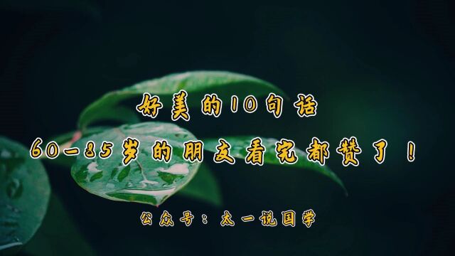 好美的10句话,6085岁的朋友看完都赞了!