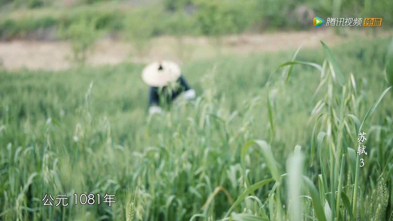 竹杖芒鞋轻胜马 一蓑烟雨任平生_高清1080P在线观看平台_腾讯视频