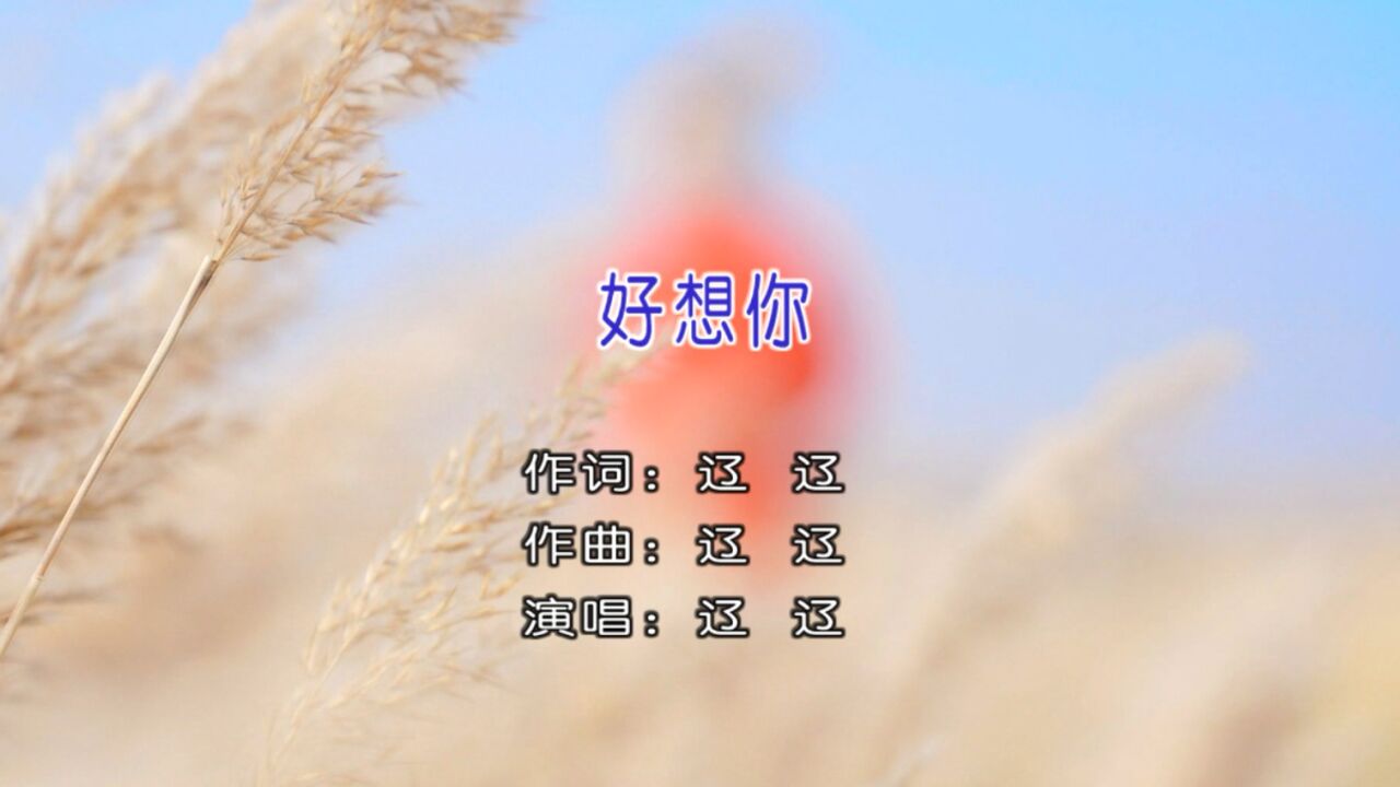 歌手辽辽演唱歌曲《好想你》ktv版