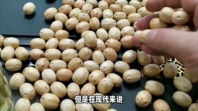 菩提子手链盘法大揭秘!