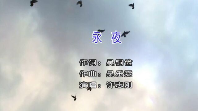 歌手许志刚演唱歌曲《永夜》KTV版