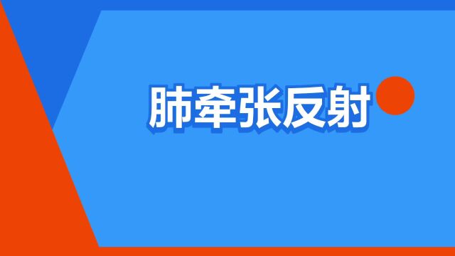 “肺牵张反射”是什么意思?