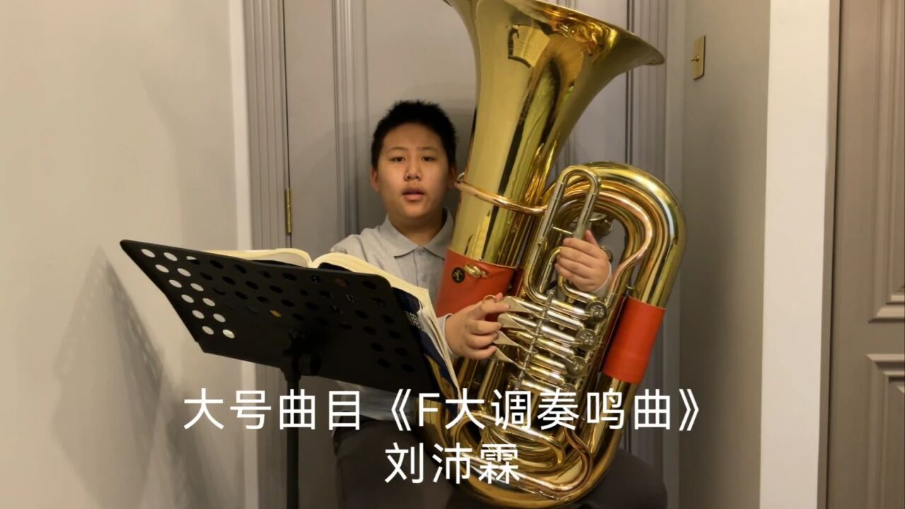 大号曲目《F大调奏鸣曲》刘沛霖_高清1080P在线观看平台_腾讯视频
