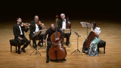 柏林爱乐弦乐五重奏《乔瓦尼·博泰西尼 - 贝里尼的小夜曲主题幻想曲，为低音提琴和弦乐而作》