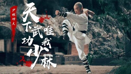 天下武功唯我少林,少林功夫到底有多厉害,看完你就知道了_高清1080P在线观看平台_腾讯视频