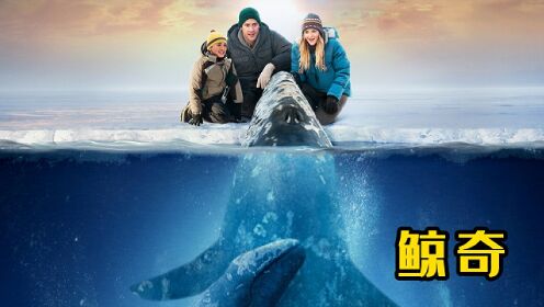 真实事件改编，三只鲸鱼被困冰下，美苏竟联手救鲸