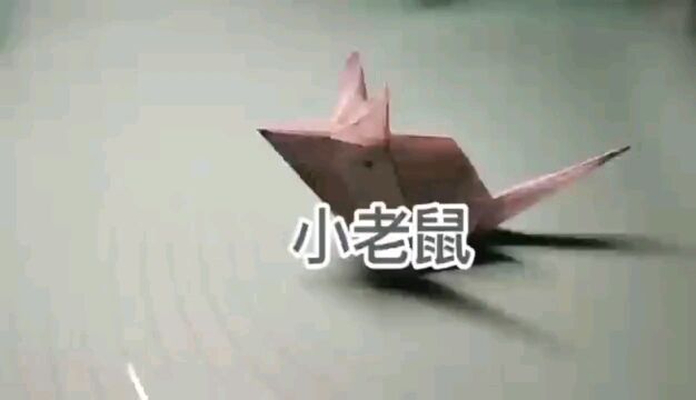 今天一起折小老鼠