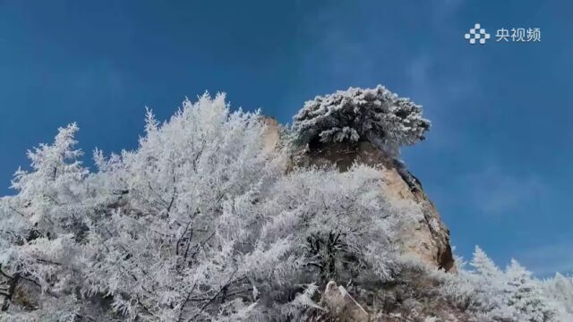 【央媒聚焦】石家庄灵寿:银装裹五岳 玉树伴云海