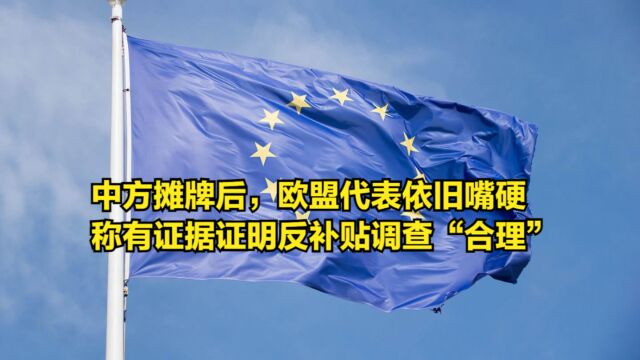 中方摊牌后,欧盟代表依旧嘴硬,称有证据证明反补贴调查“合理”