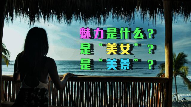 魅力是什么?有人答“金钱”,有人答“美女”,你认为呢?