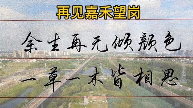 嘉禾望岗,再见,再也不见.#手写 #练字 #书法 #行书 #文案