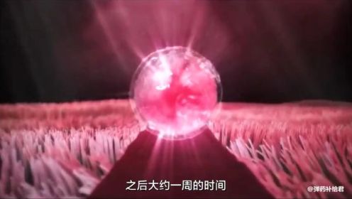 日本动画短片《生命的诞生物语》中文字幕