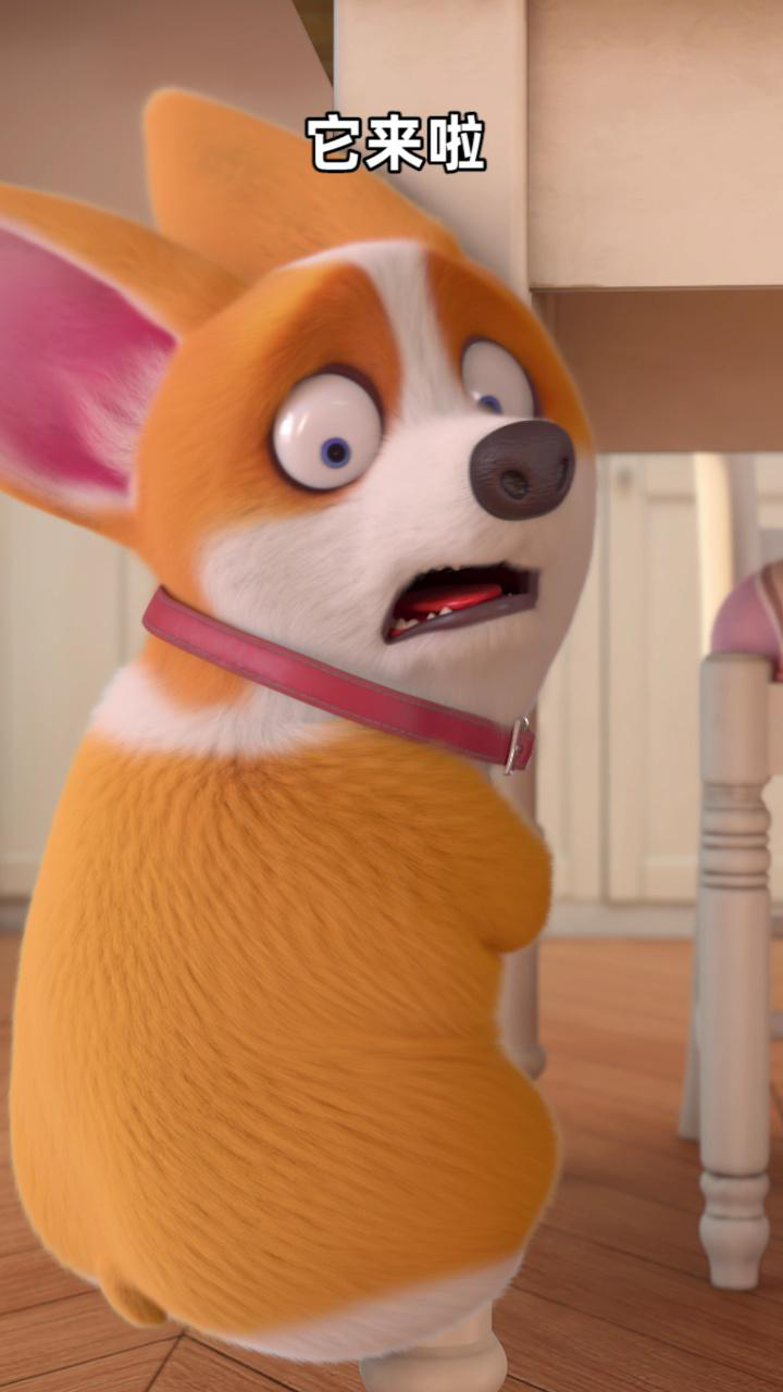 飞狗moco:救命!让小狗狗害怕的东西出现了!