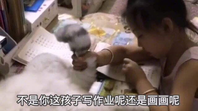 你这孩子写作业还是画画呢?看我腚沟我这儿有答案啊?