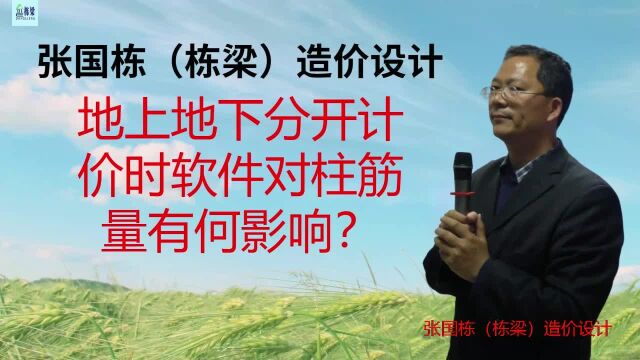 张国栋(栋梁)造价设计:地上地下分开计价时软件对柱筋量有何影响?