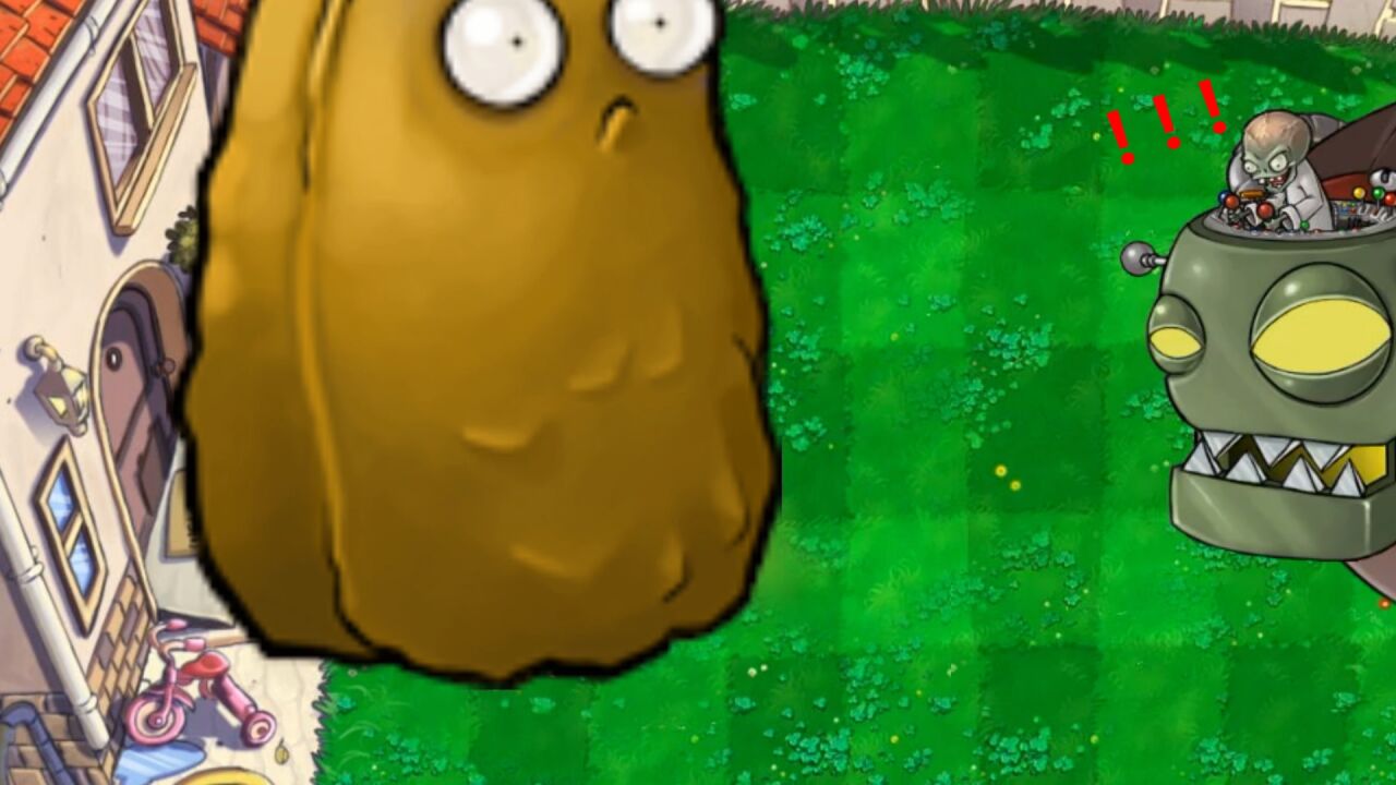 植物大战僵尸:高坚果的快速成长