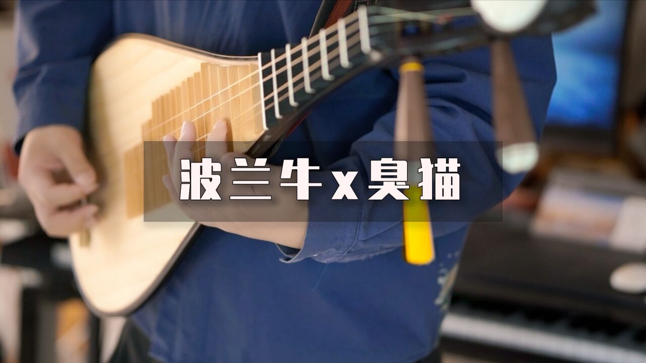 波兰牛原曲图片