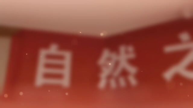 好好学习天天向上