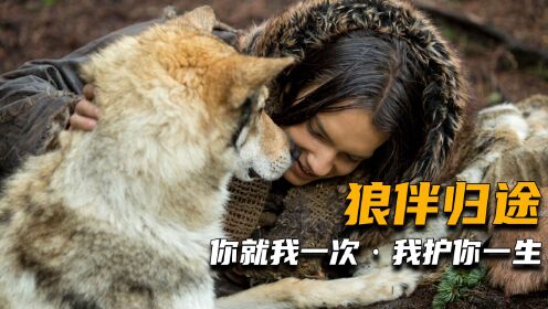 《阿尔法：狼伴归途》男孩无意中救了一只野狼，狼却用一生来保护他