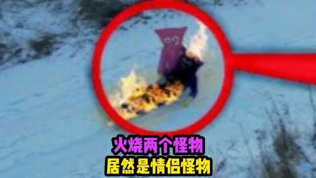 后山来了两个情侣怪物,就直接被一个奇怪人物干掉了,谁这么厉害