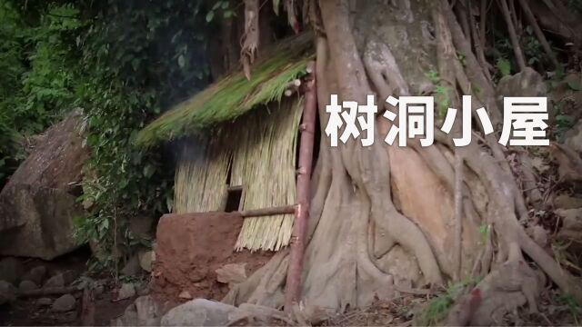 野外建造:这个男人竟然在树洞中建造了这么漂亮的小屋,而且还能吃上蟹黄面包