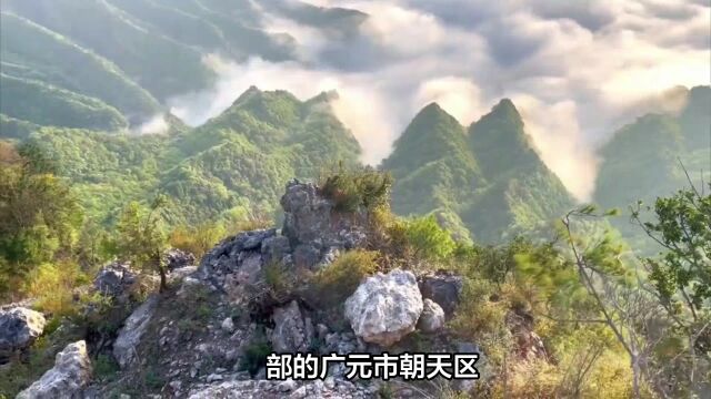 寻找天然氧吧?来广元曾家山景区吧!