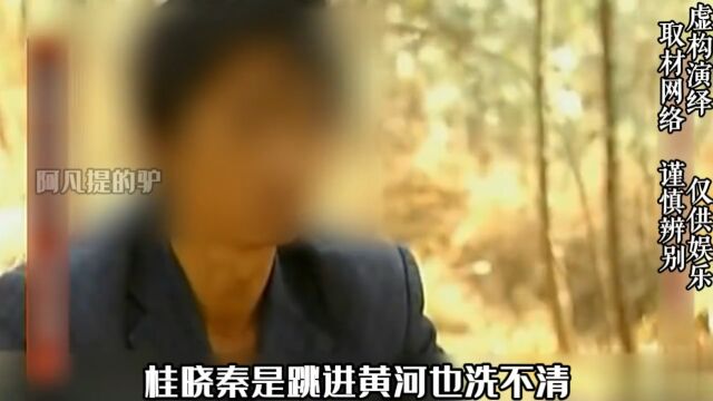 守寡多年的丈母娘在女婿家离奇怀孕,女婿跳进黄河也洗不清了