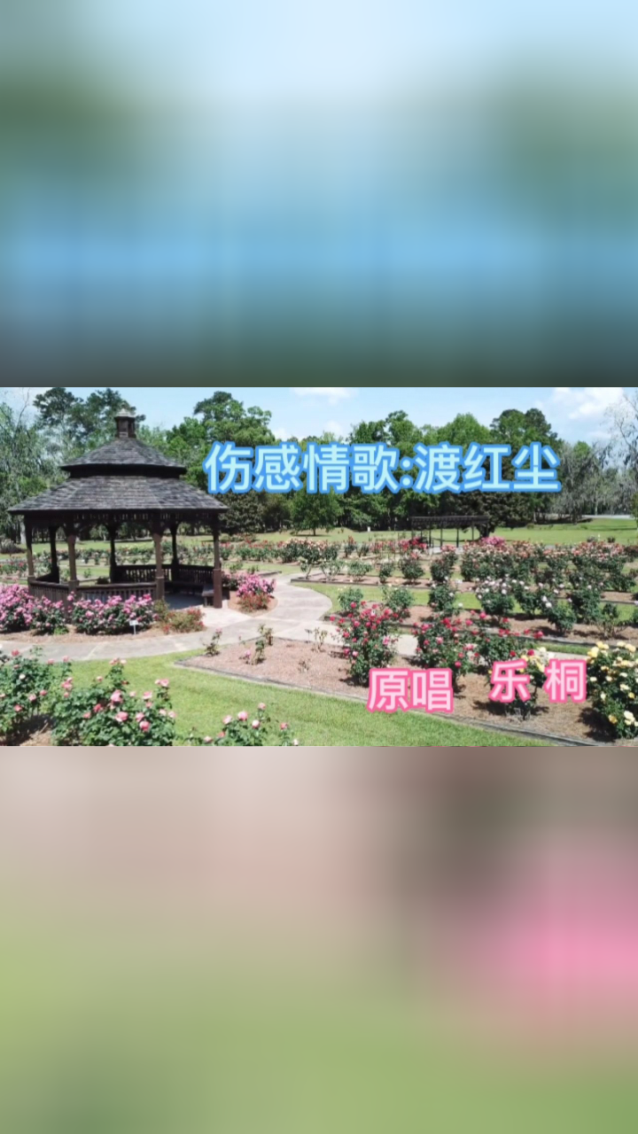 乐桐《渡红尘》