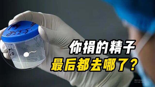 男人捐的精子最终去哪了?都被人工受孕了吗?