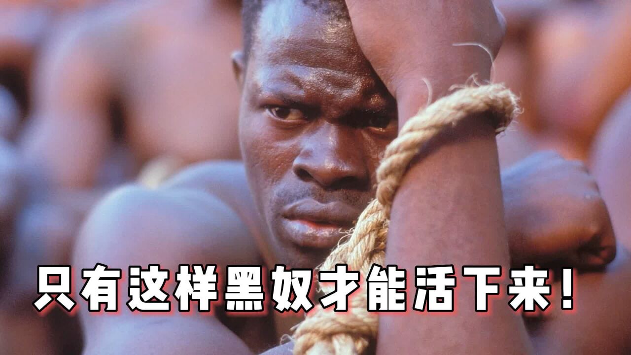 震惊世界的黑奴贩卖,真相令人不寒而栗!