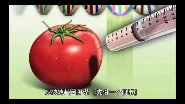 识破转基因阴谋