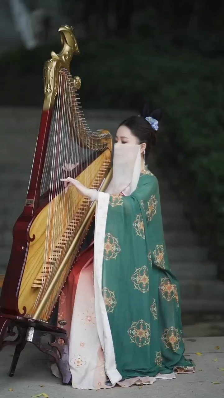 箜篌演奏《后来的你在哪》