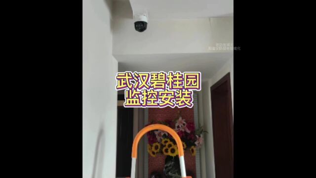 湖北武汉江夏区监控安防智能家居安装#智能化弱电工程