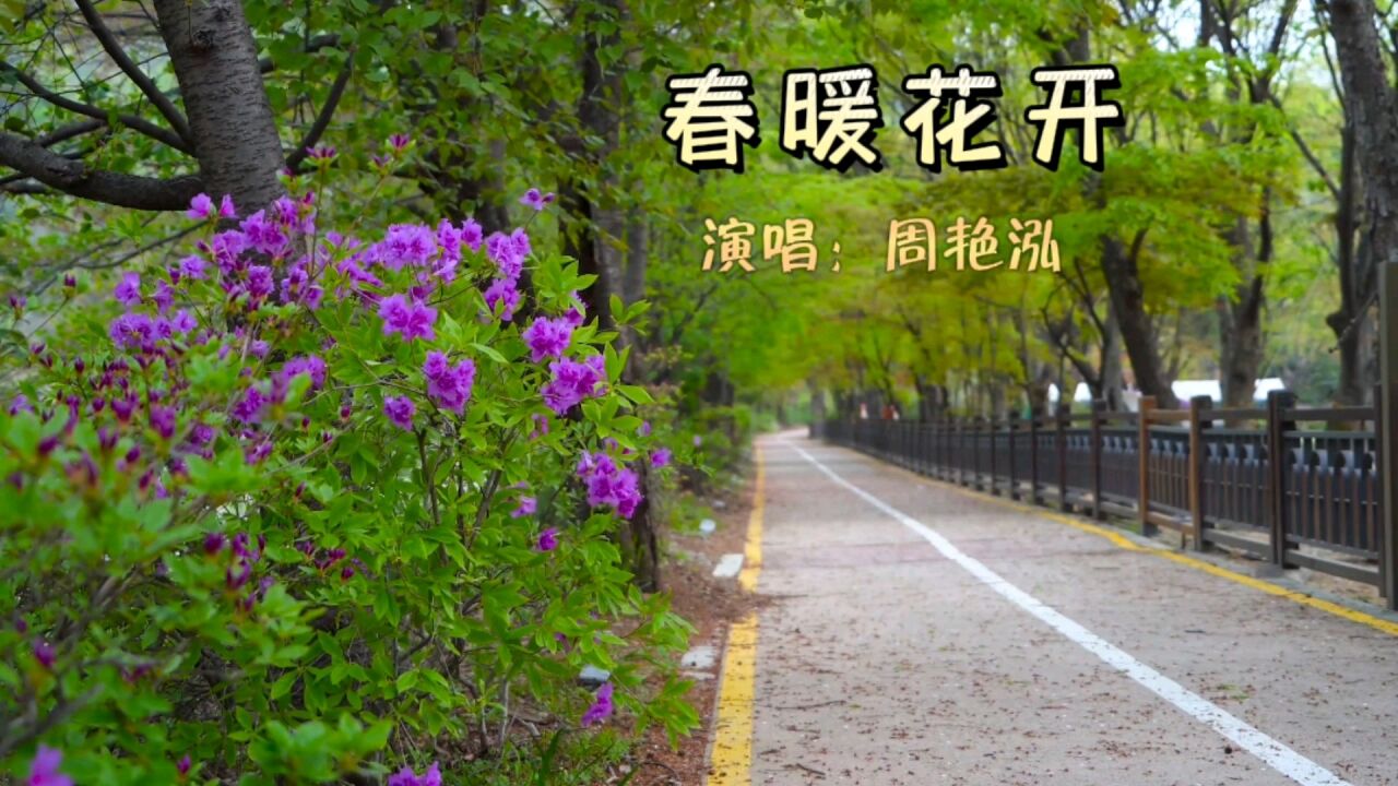 周艳泓经典歌曲《春暖花开》歌声悦耳动听,令人陶醉