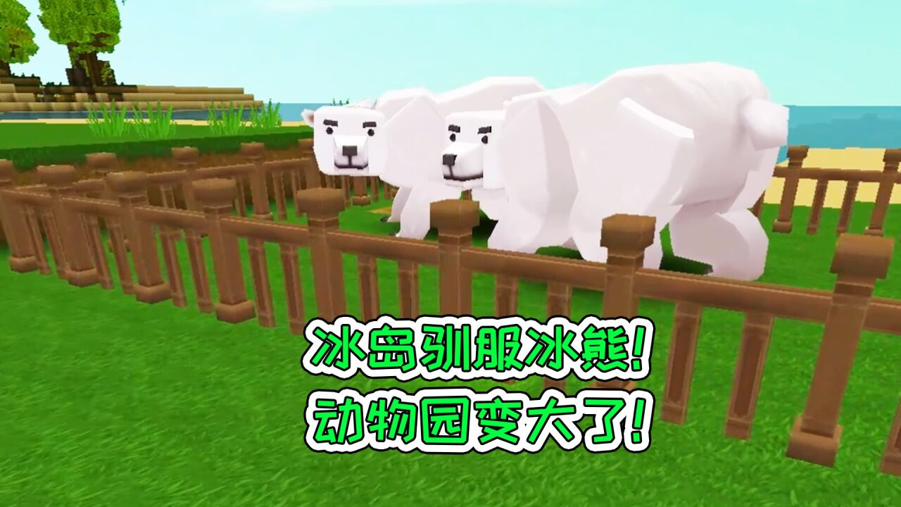 迷你世界:冰岛驯服冰熊,动物园变大了!宝妈趣玩