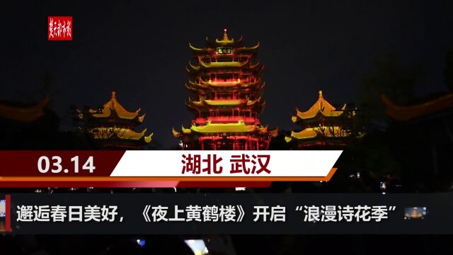 【视频】邂逅春日美好,《夜上黄鹤楼》开启“浪漫诗花季”