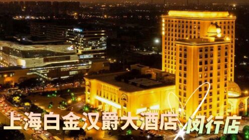 上海魔都白金汉爵大酒店航拍全景在线观看